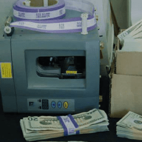 Clones for sale in Michigan